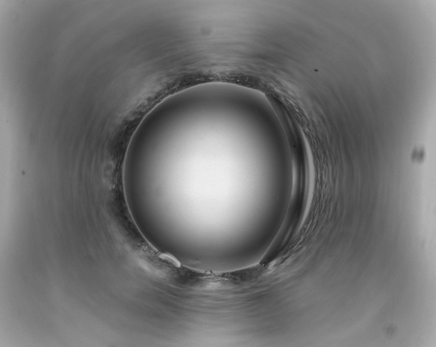 X0000091940750200709121619