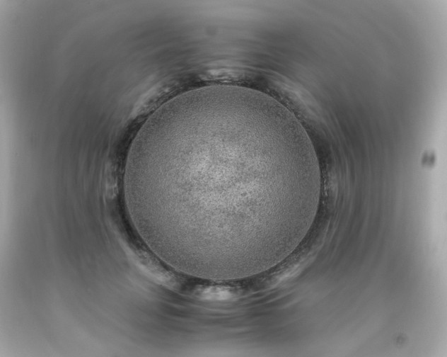 X0000091940751200709121619