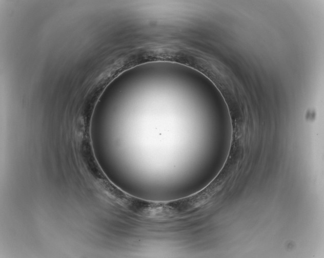 X0000091940752200709121619