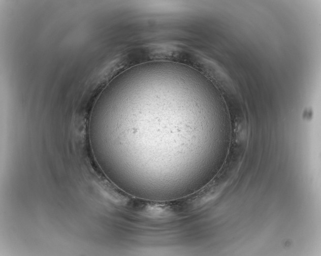 X0000091940753200709121619