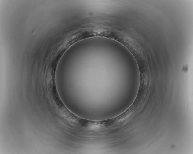 X0000091940754200709121619