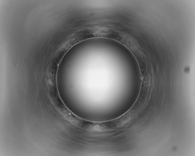 X0000091940755200709121619