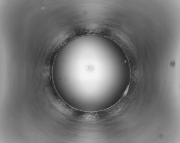 X0000091940756200709121619