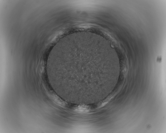 X0000091940758200709121619