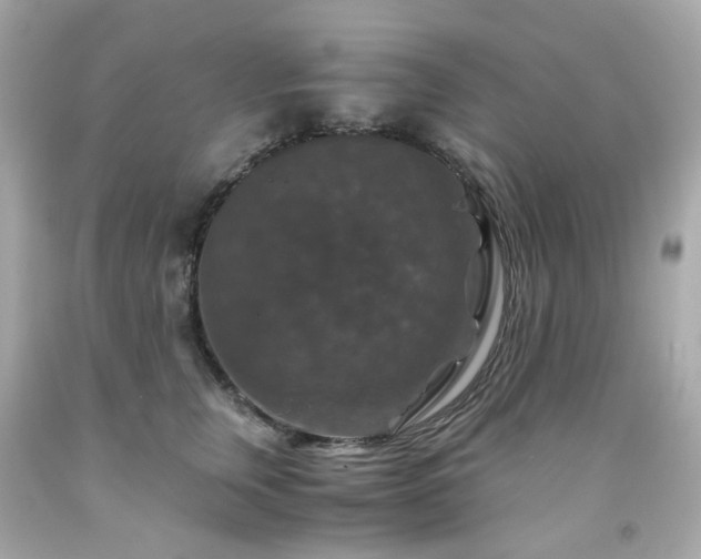 X0000091940759200709121619