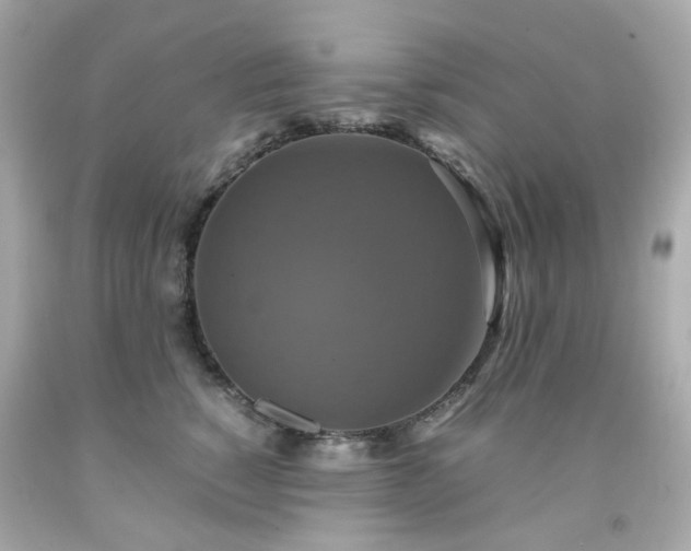 X0000091940760200709121619