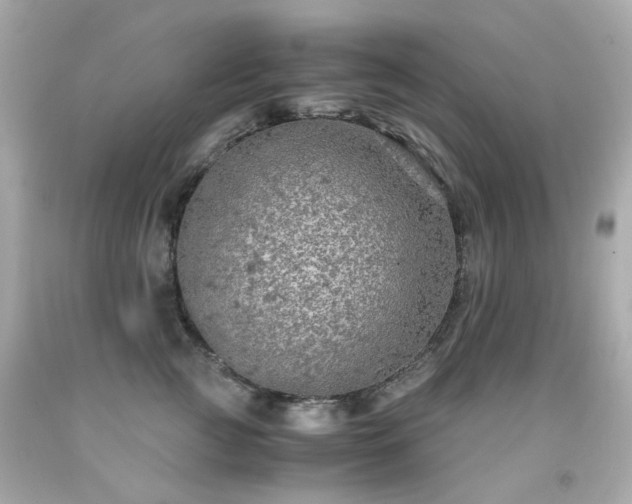 X0000091940761200709121619