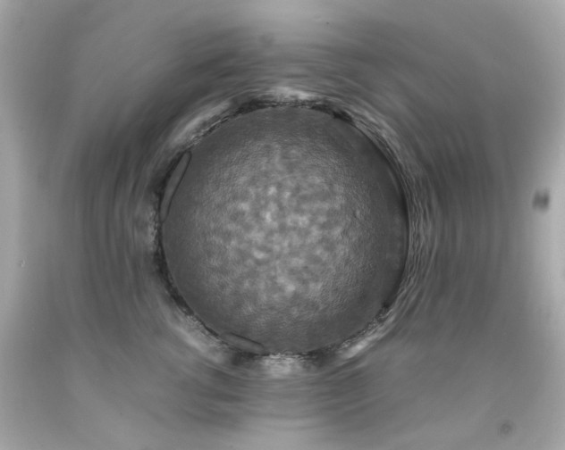 X0000091940762200709121619