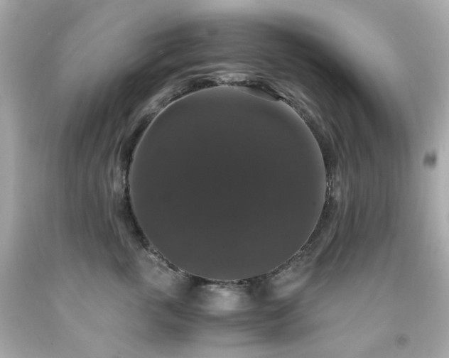 X0000091940763200709121619