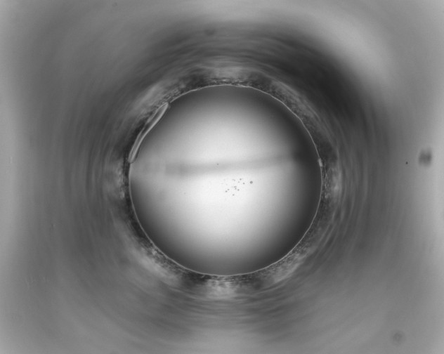 X0000091940764200709121619