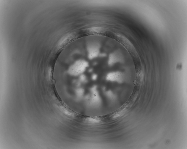 X0000091940765200709121619