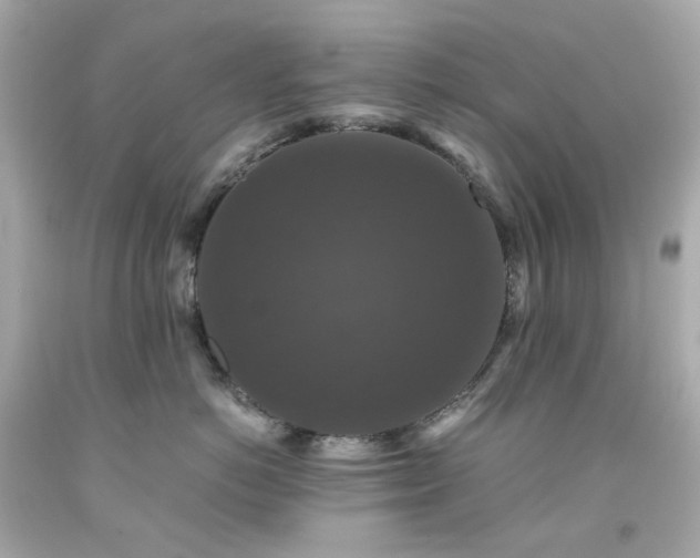 X0000091940766200709121619