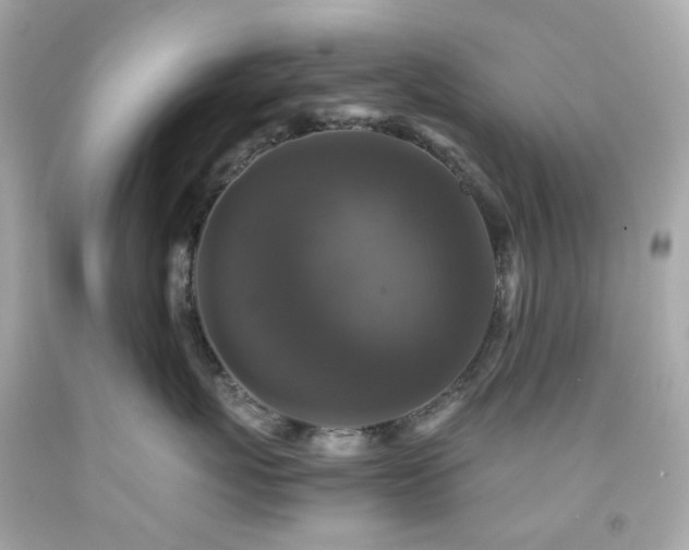 X0000091940767200709121619