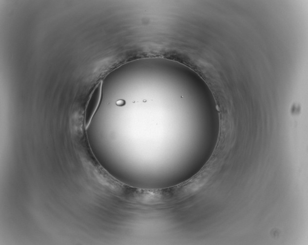 X0000091940768200709121619