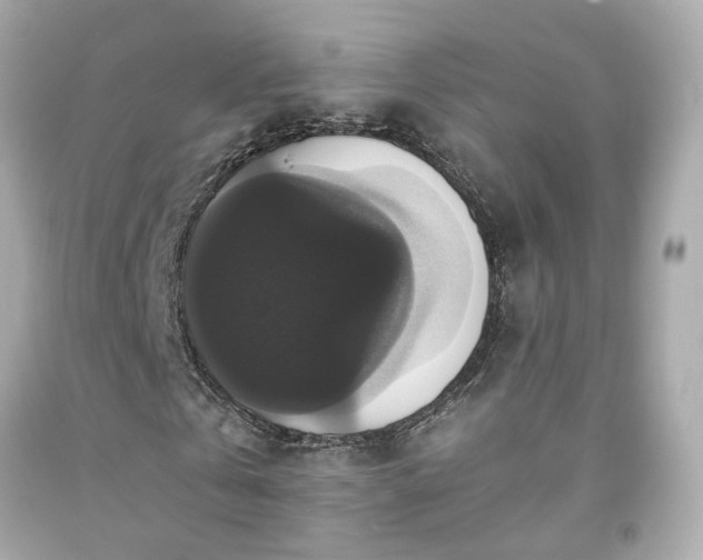 X0000091940769200709121618