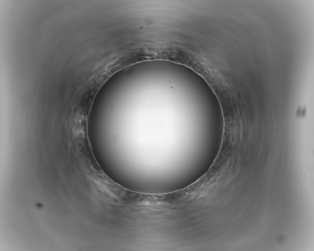 X0000091940770200709121618