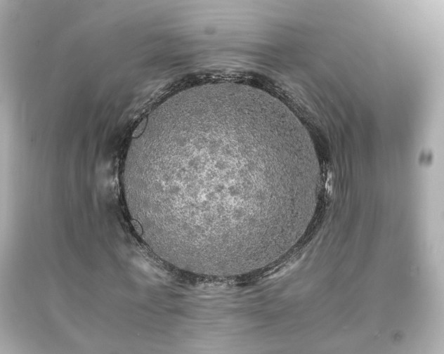 X0000091940771200709121618