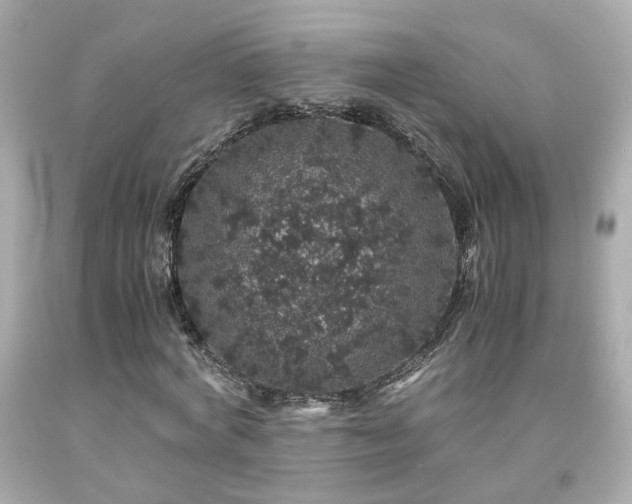 X0000091940772200709121618