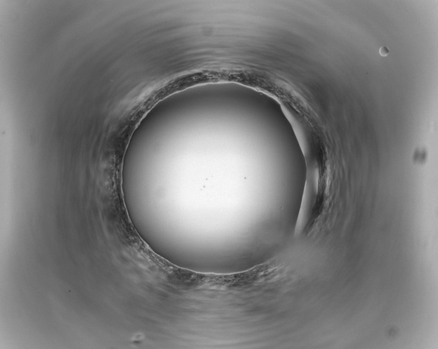 X0000091940773200709121618