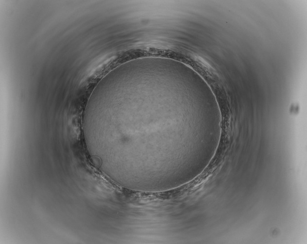 X0000091940774200709121618