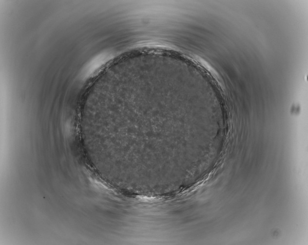 X0000091940775200709121618