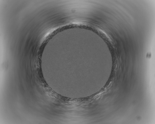 X0000091940776200709121618