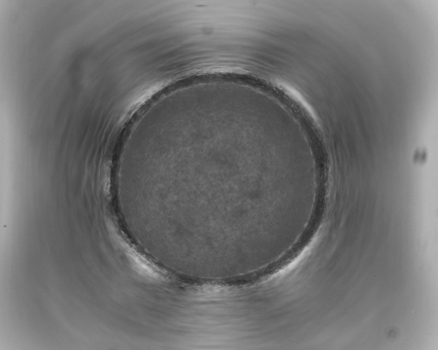 X0000091940777200709121618