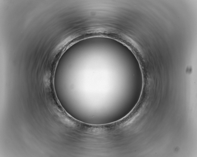 X0000091940778200709121618