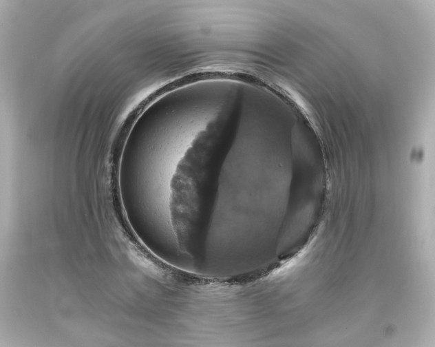 X0000091940779200709121618