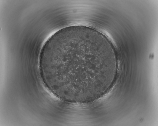 X0000091940780200709121618