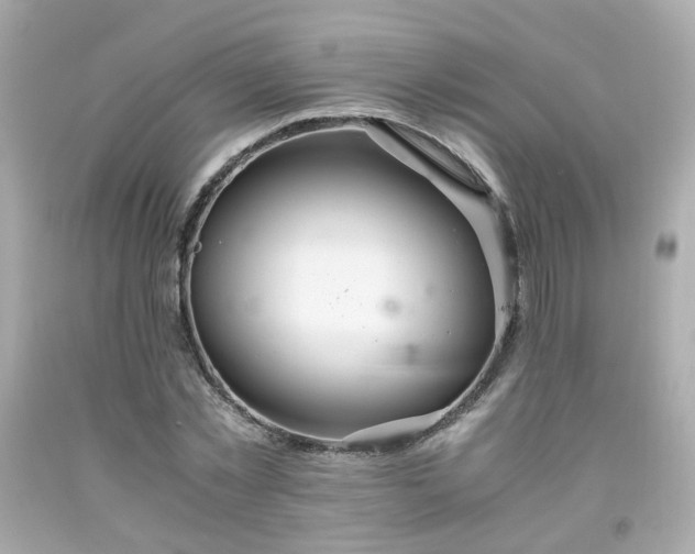 X0000091940781200709121618