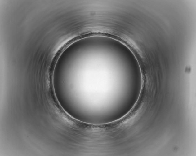 X0000091940782200709121618