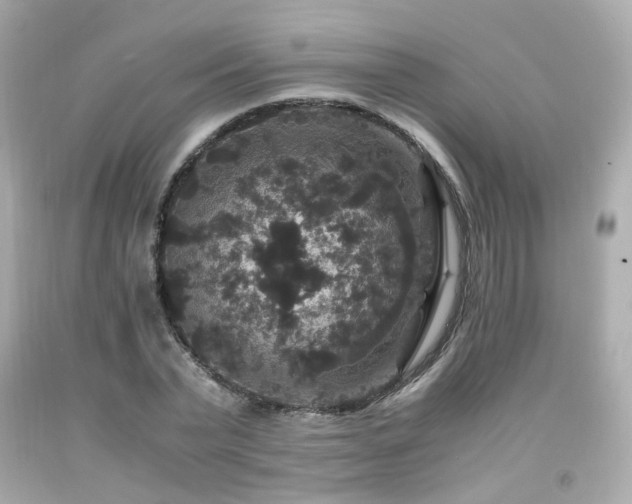 X0000091940783200709121618