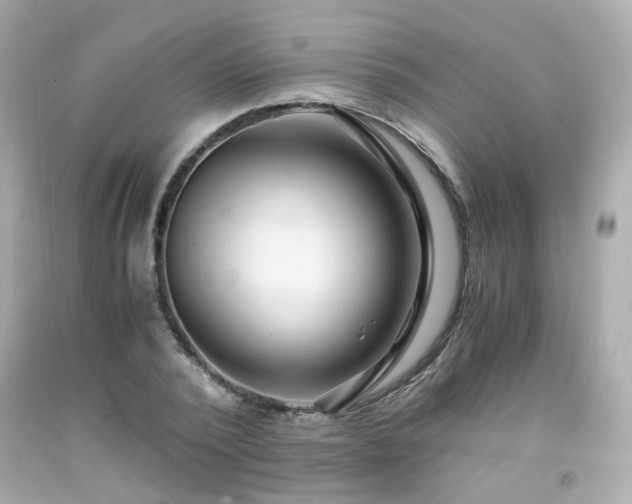 X0000091940784200709121618