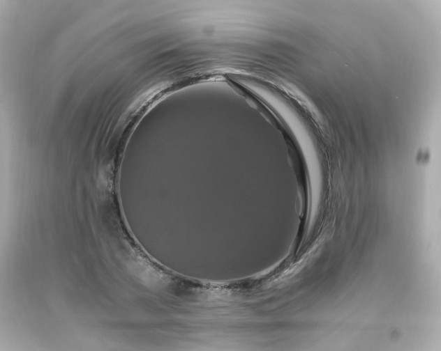 X0000091940785200709121618