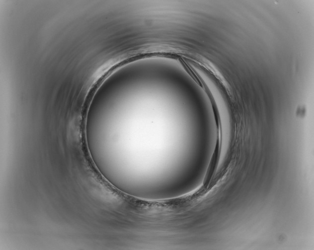 X0000091940786200709121618