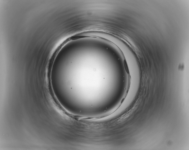 X0000091940788200709121618