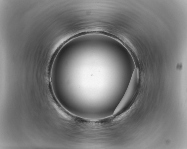 X0000091940789200709121618