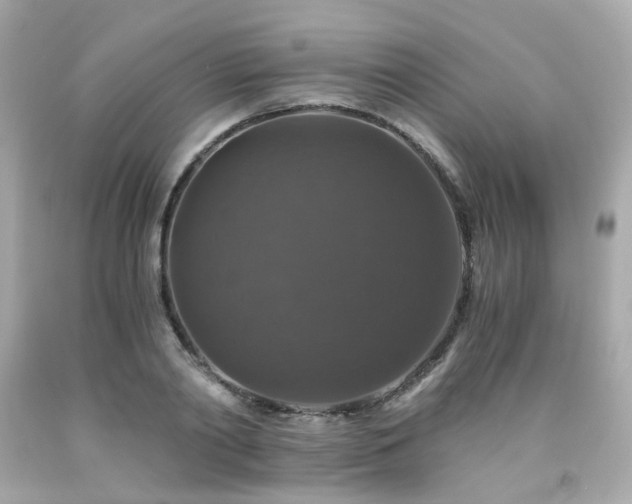 X0000091940790200709121618