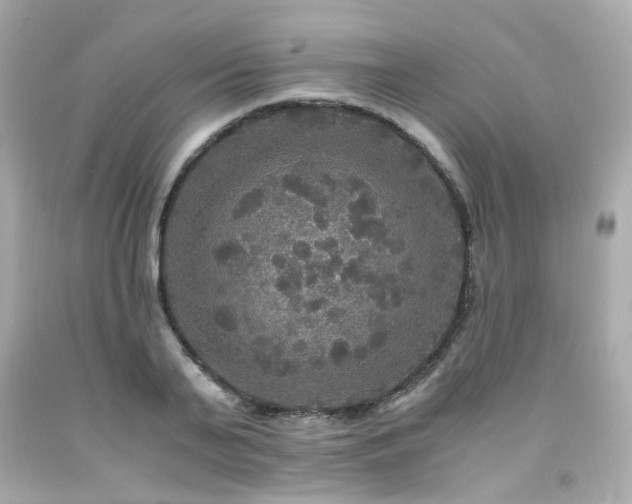 X0000091940791200709121618