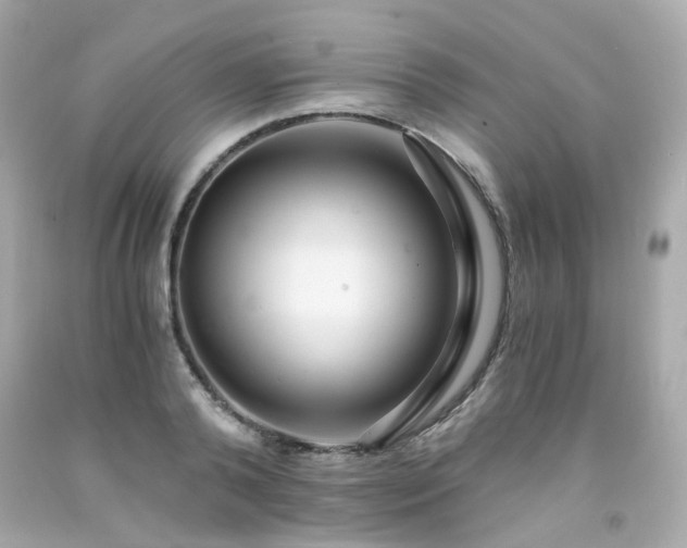 X0000091940792200709121618