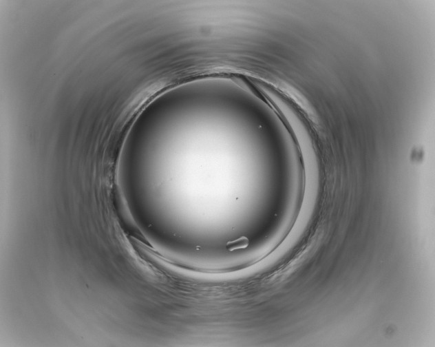 X0000091940793200709121618