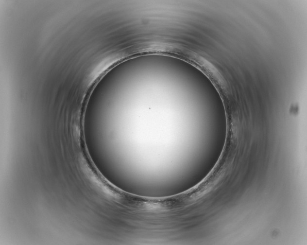 X0000091940794200709121618