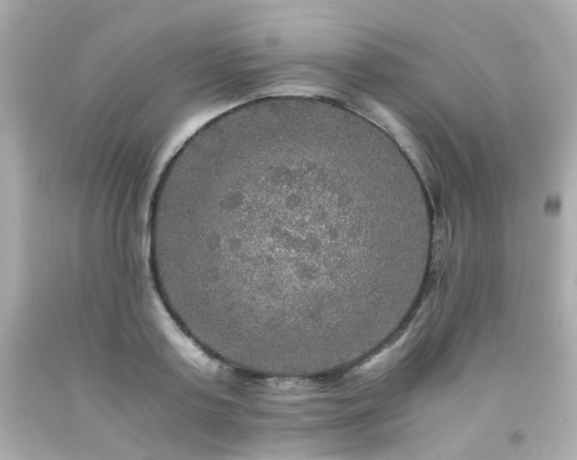 X0000091940795200709121618