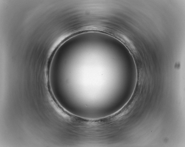 X0000091940796200709121618