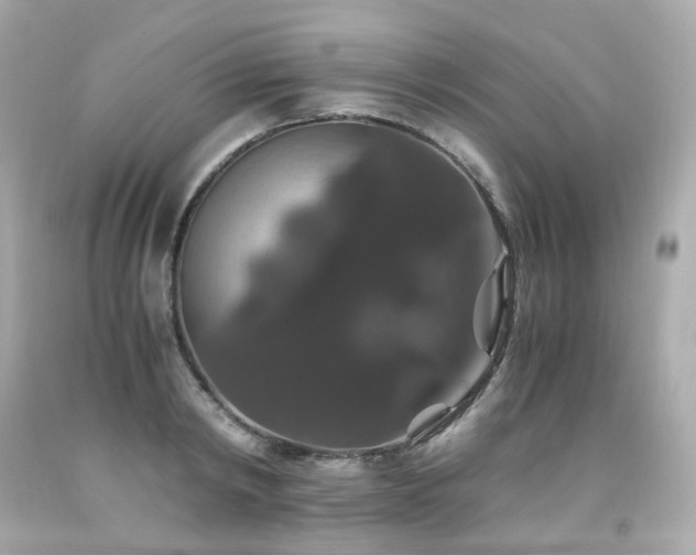 X0000091940798200709121618