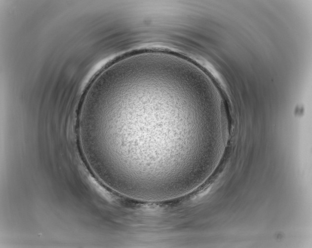 X0000091940799200709121618