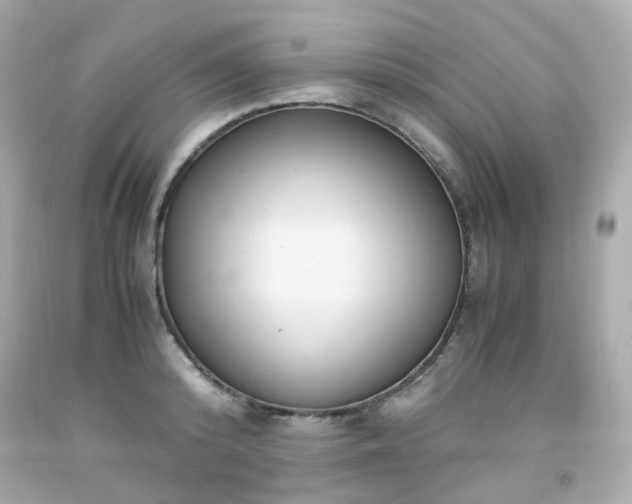 X0000091940800200709121618