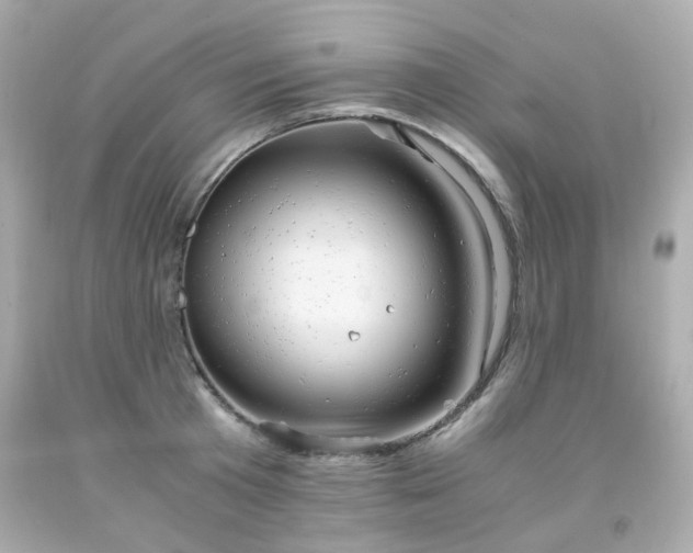 X0000091940801200709121618