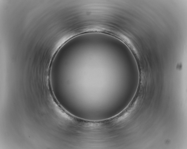 X0000091940802200709121618